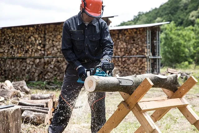 KOMPETENSI KRUSIAL SEORANG OPERATOR CHAINSAW